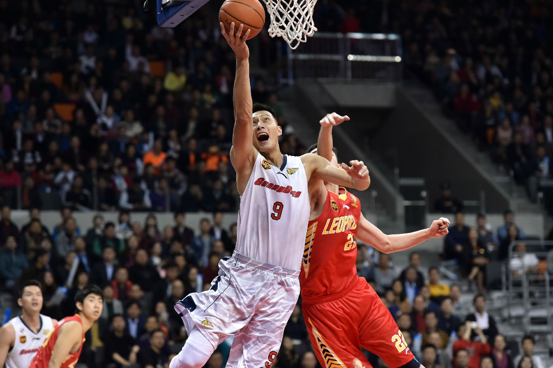 谢泼德普里 谢泼德普里